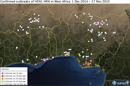 situation in the Sahel and West Africa.