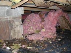 Damage caused by rodents