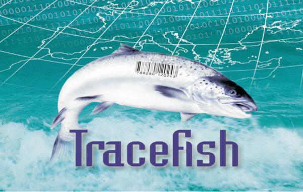 History The fishery and aquaculture industry expressed needs for traceability in the beginning of the last decade Traceability standards where developed Sector specific standards on the information