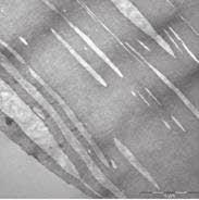 924 TEM pictures Toppyl PB 0110M & Toppyl PB 8640M (internal LYB test method) (*) Results measured with Internal LYB test method (non-laminated blown film), based on ASTM D882-90 Influence of Melt
