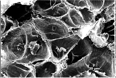 This can be seen in SEM images of the impact fracture surfaces presented in Figure 1.