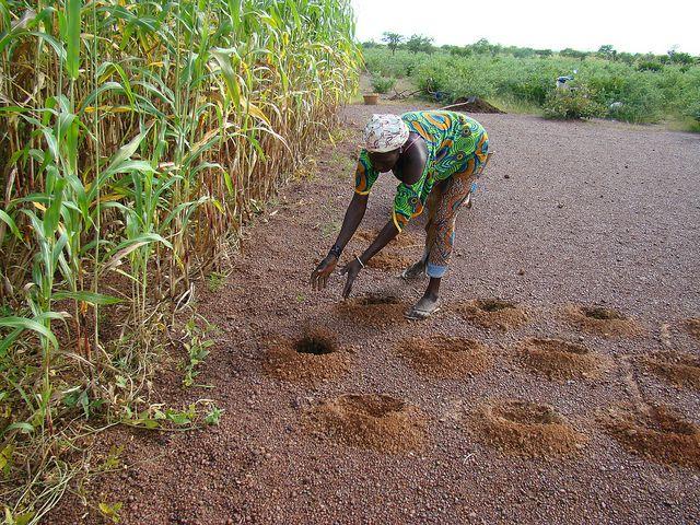 Adaptation Experience in Africa Since 2007, Africa has gained experience in planning and beginning to implement adaptation activities, from local to national levels and across a growing range of