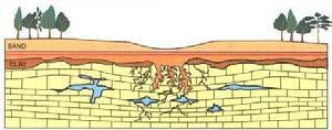 into the expanding cavity. 3. Collapse sinkholes form when surface materials suddenly sink into a subsurface cavity or cave.
