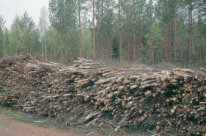 of timber, mainly spruce Small