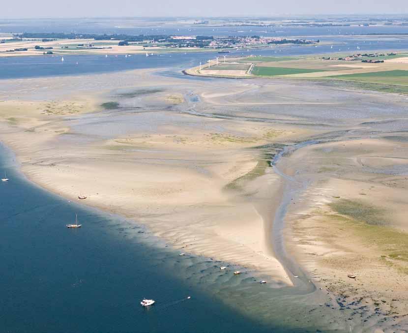 Oosterschelde (NL) The Dutch Oosterschelde estuary is exceptionally rich in birds, but the question is for how long.