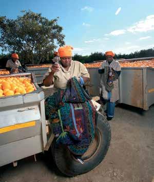 In keeping with the African way, the citrus farming business of Groep 91 not only brought people together, but also created a platform and financial