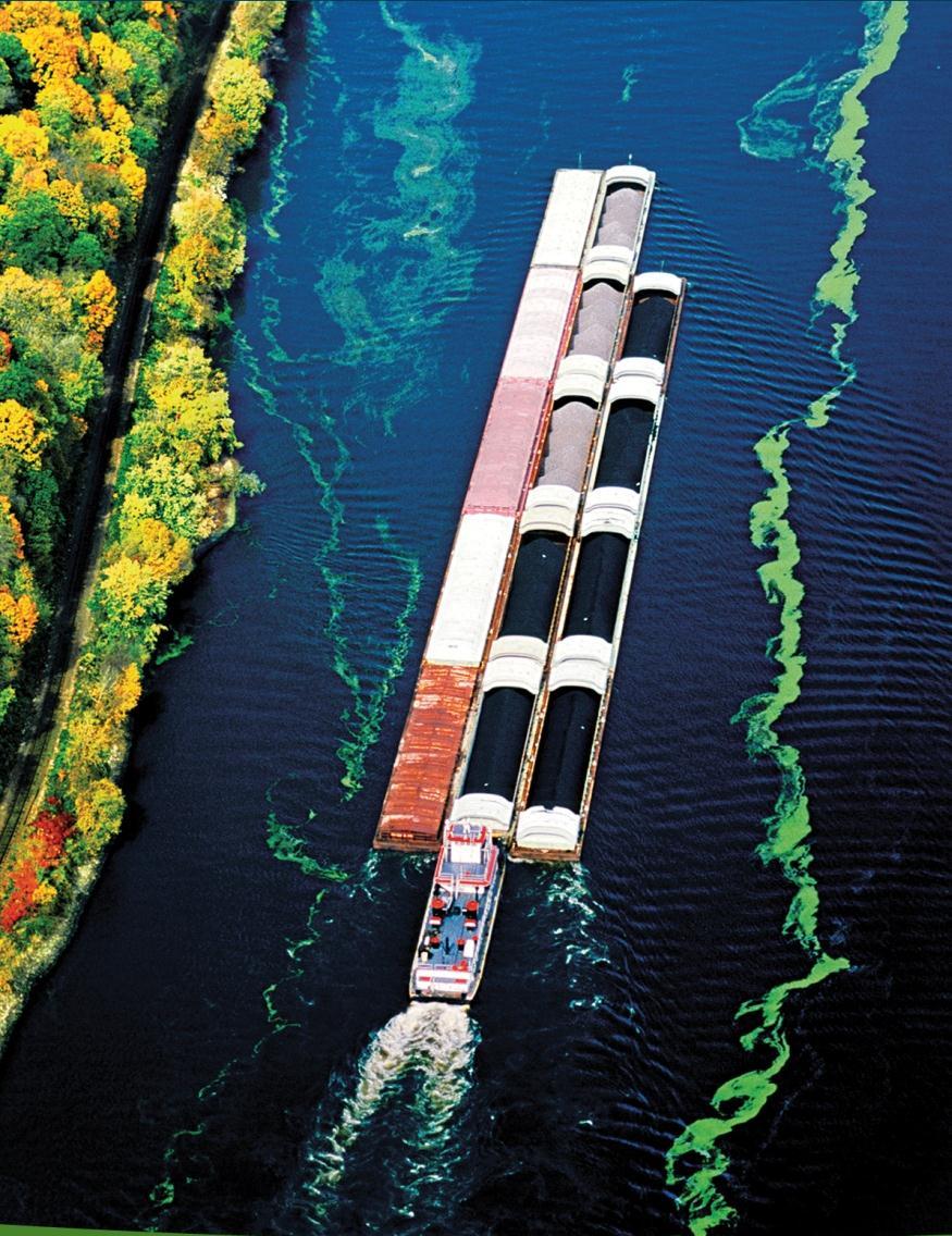 America s Inland Waterways: Anticipating Future Demands Our inland waterways have capacity: to transport today s bulk commodities and