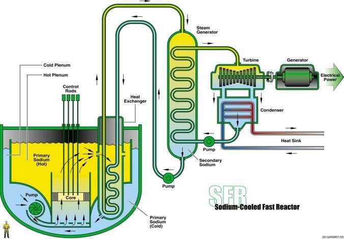 Fast Reactor (SFR) Liquid
