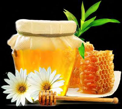 Exports of honey January-October 2014-27.2 thous. t ($70.9 mln.