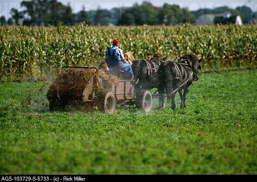 Manure and Agriculture Linked to farming throughout history of civilization Primary nutrient source for food production until 20 th century, still important today Environmental concerns about