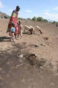 KENYA Extreme drought leads to crop failure and animals dying.