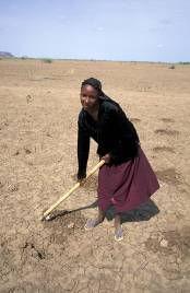 SUDAN Less rainfall makes crop failure more common.