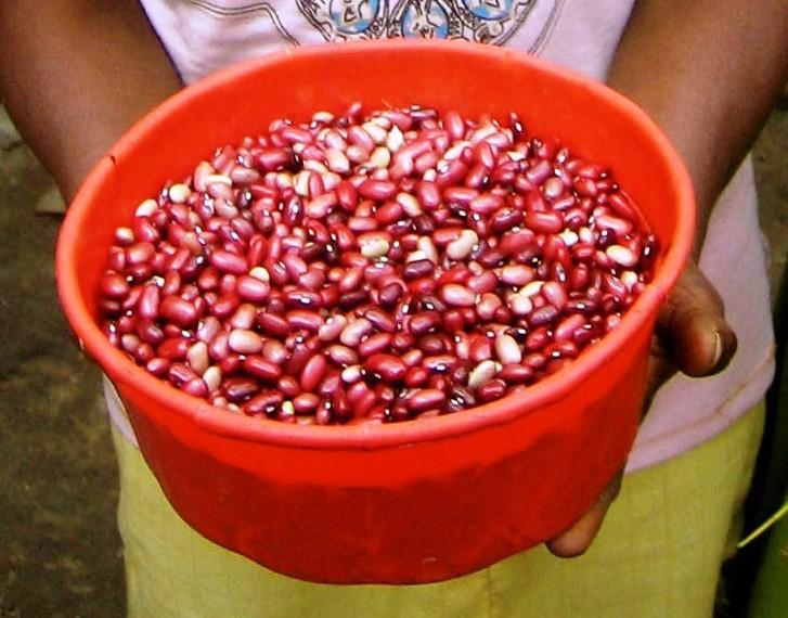 Food Security and Nutrition: In addition, the production expansion of the new, climate resilient, higher yielding seed is improving food security and nutrition of households in the area, as many