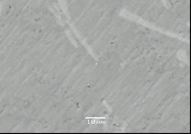 Surface of composite does not appear smooth because of the presence of distinct grooves. These grooves are caused by the ceramic FA particles ploughing the pin surface.