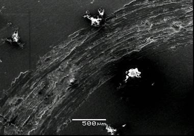 Micrograph of worn surface of A356 Al/KFA 10% wt. composite. Left: Scale legend is 500μm. Right: Scale legend is 50μm CONCLUSIONS 1.
