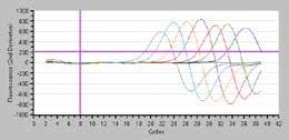 Result Amplification Curve Melting Curve After reaction completion, Ct values from the 2nd derivative of