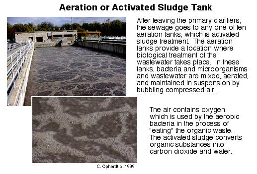Activated Sludge Process Wastewater is aerated and circulated through bacteria-rich particles.