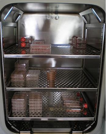 Incubators are essential for a lot of experimental work in cell biology, microbiology and molecular biology and are used to culture both