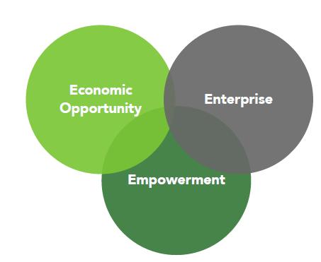 The 3 Es Impact Framework