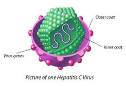 antigen (HBsAg) + hepatitis B virus DNA antibodies