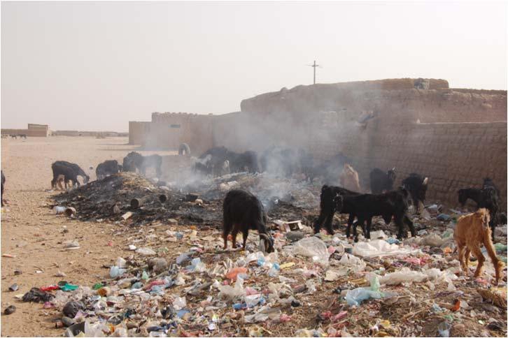 Definition - Sanitary Landfill At a minimum - wastes are compacted and covered on a daily basis Historically Open dump or burning