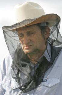 ( CCD ) Colony Collapse Disorder -- In November 2006 Dave