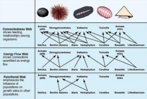 These three food webs are important of each population