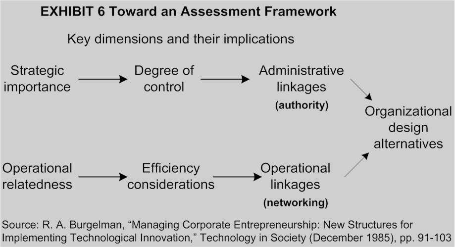Managing Corporate Entrepreneurship A Framework for Assessing Internal Entrepreneurial Initiatives Assessing Strategic