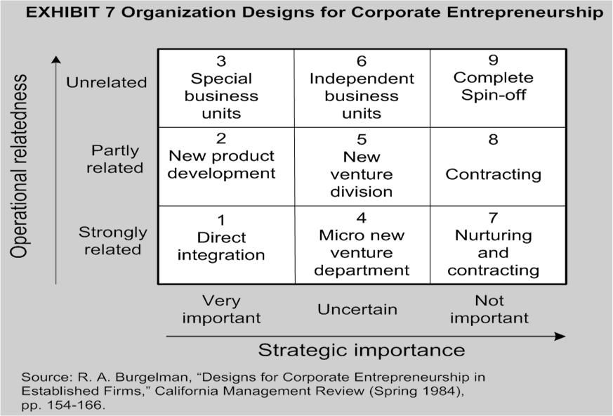 Managing Corporate Entrepreneurship 35 Implementing Design Alternatives Three Major Issues and Potential Problems 1.