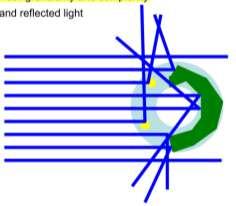 L A S E R Optics cell Fluorescence / 90 180 L A S E R Forward Scatter (FSC) Side Scatter (SSC) diffracted light,