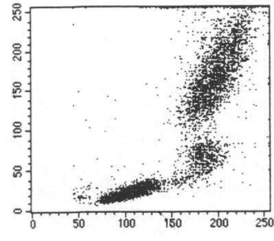 granularity SSC Side Scatter 2 parameters Dot Plot example: human peripheral blood
