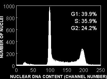 DNA Analysis: G0 / M / Propidium Iodide is a red fluorescent molecule which binds to nucleic acids.