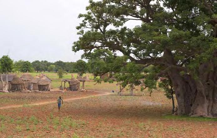 The WASCAL program aims to address the challenge of climate change in West Africa.