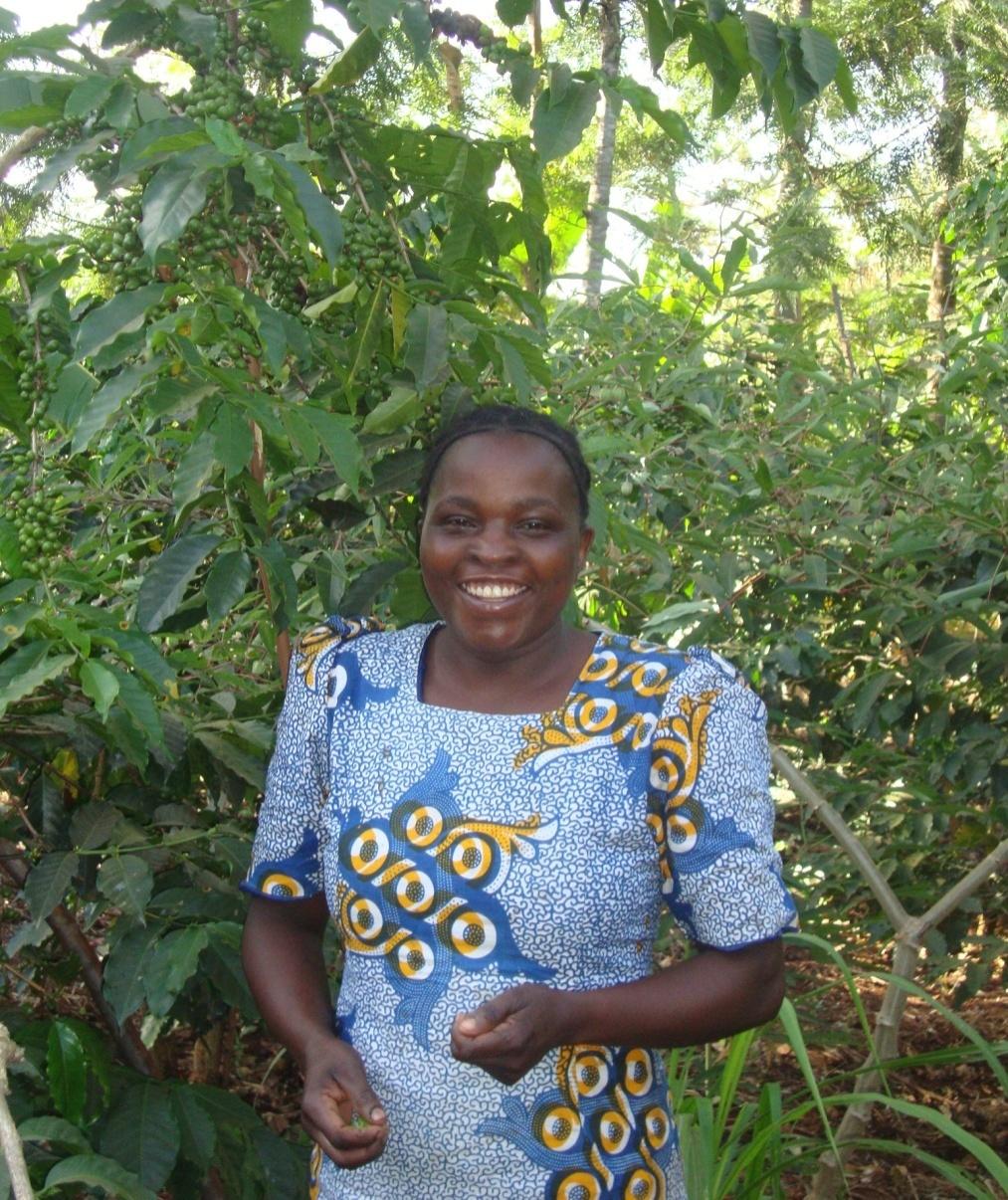 LAST YEAR MARY HARVESTED 106KG FROM HER WELL MANAGED FARM. SHE EXPECTS TO HARVEST 600KG IN 2012.