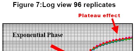PCR phases Log view in 96 replicates