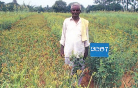 research. Both grain and vegetable legumes were tried in inter and sequence cropping systems. Despite the drought during kharif 2002 in target districts of Karnataka, Tamil Nadu and A.