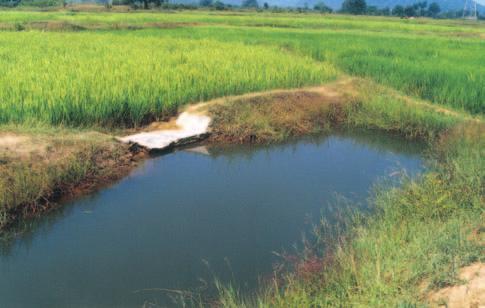 RAINFED AGRO-ECOSYSTEM A small refugee supported with a masonary weir at the end of medium land on farmers field in Orissa the harvested water was used for fish rearing as supplemental irrigation was