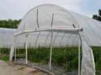 5 per square foot Crops being grown within high tunnels in the Central Great