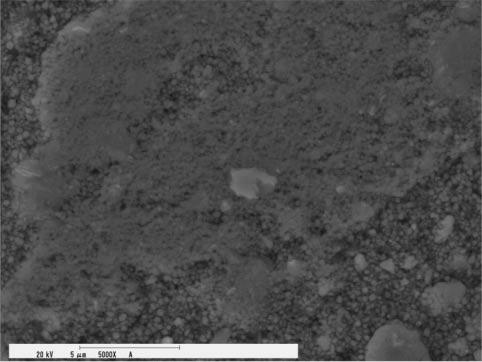 The results of a TEM-EDS analysis of the powder after 700 h milling time are shown in Fig. 5. It is noted that fine grains, of about 5 nm, were in the particles (from Fig. 5).