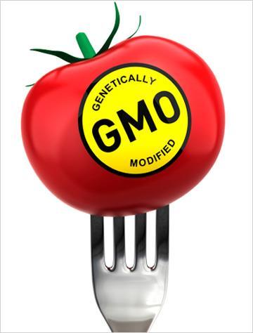 7.3 Genetically Modified Plant Genetic engineering in plant: enabling directed changes to be made to the genotype of a plant, circumventing the