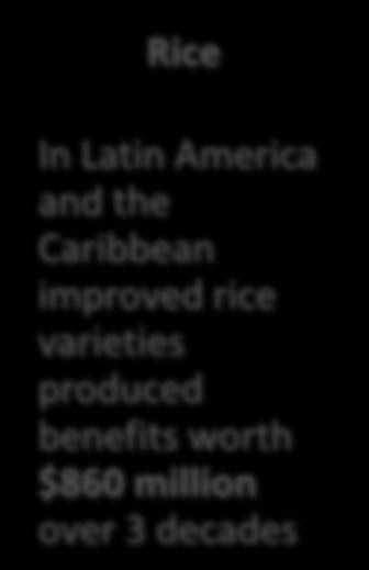 the Caribbean improved rice