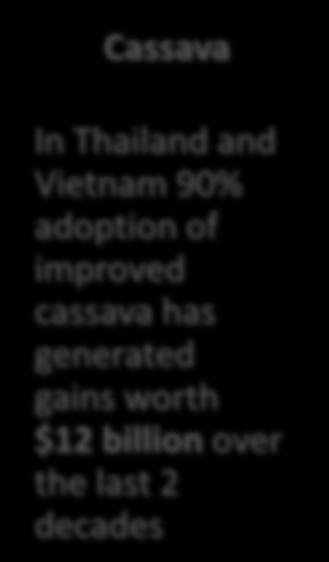 adoption of improved cassava has