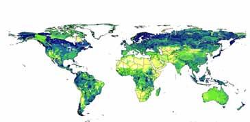However, soil carbon is highly vulnerable to human activities. Around 60% of the carbon in the world s soils and vegetation has been lost since the 19 th century.