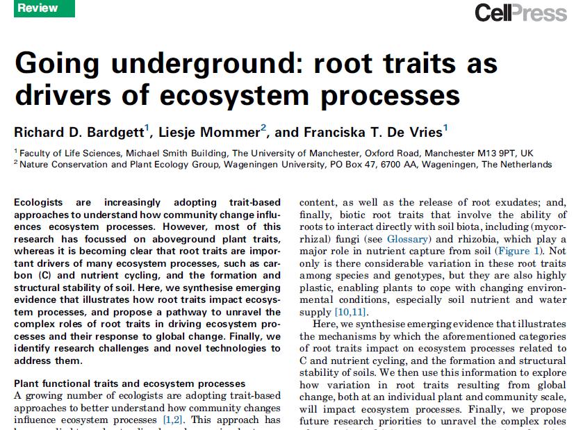 It is becoming clear that root traits are important drivers of many ecosystem