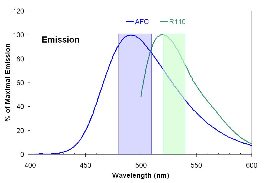overlap of the multiplexed fluorophores Consider the capabilities of your detection