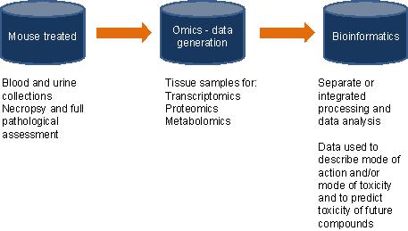 9: A typical toxicogenomics workflow in the pharma industry The principal omic technologies are used regularly in preclinical drug development.