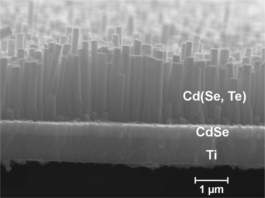 28 Figure 2.3. Nanorod array photoelectrode. SEM image (SE2 detector, 20 kv accelerating voltage) of a cross section of a Cd(Se, Te) nanorod array.
