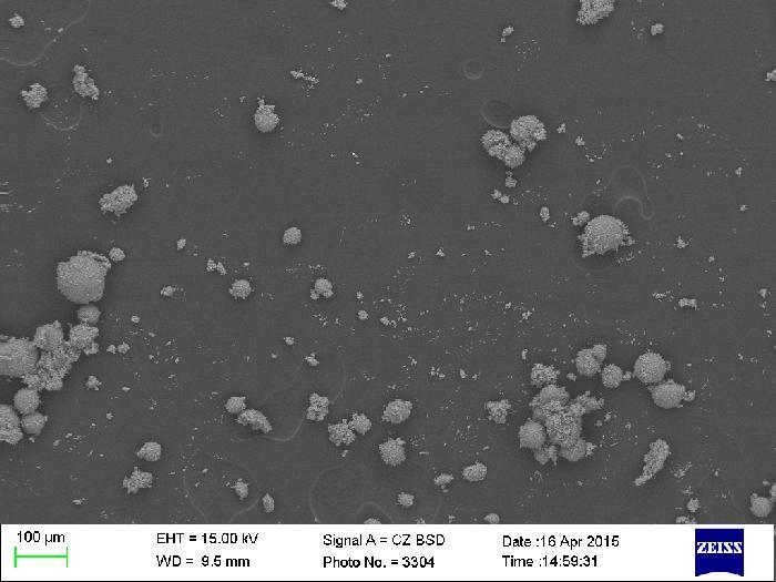 SEM in house: Nano-powder for MgO