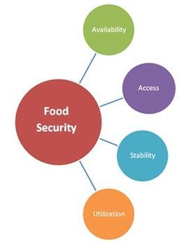 Key CC challenges for food security Yield reductions, animal and crop shifting to new areas, agro-biodiversity and ecological services losses Loss of agricultural and nonagricultural incomes,