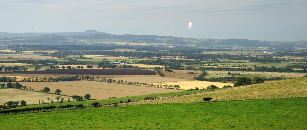Scottish Farmland Market Review Spring 2017 Market overview The Scottish farmland market was affected by a wide variety of factors in 2016, from delays in the receipt of government subsidies by